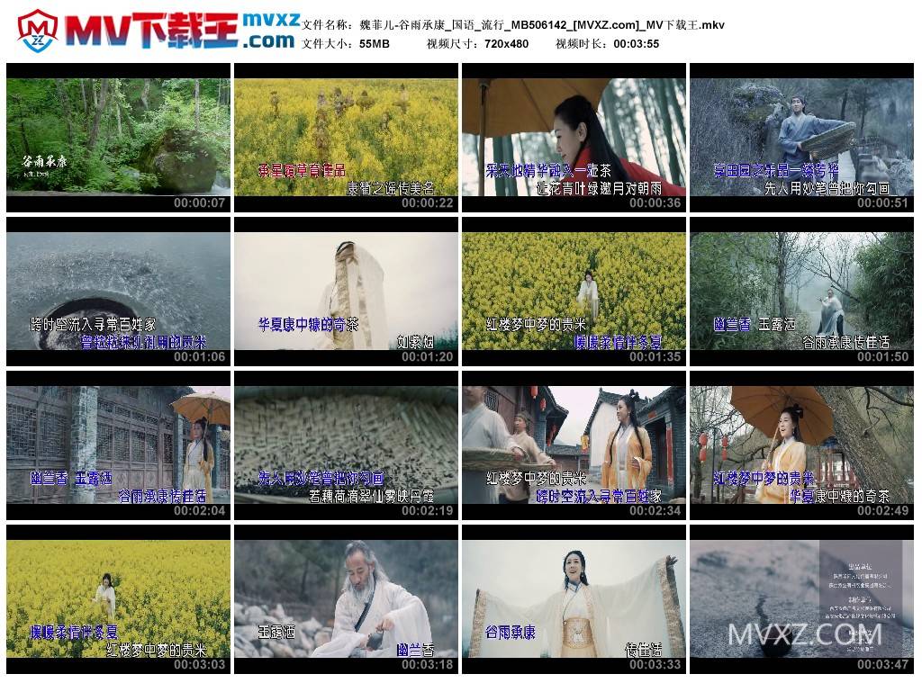 魏菲儿-谷雨承康_国语_流行_MB506142